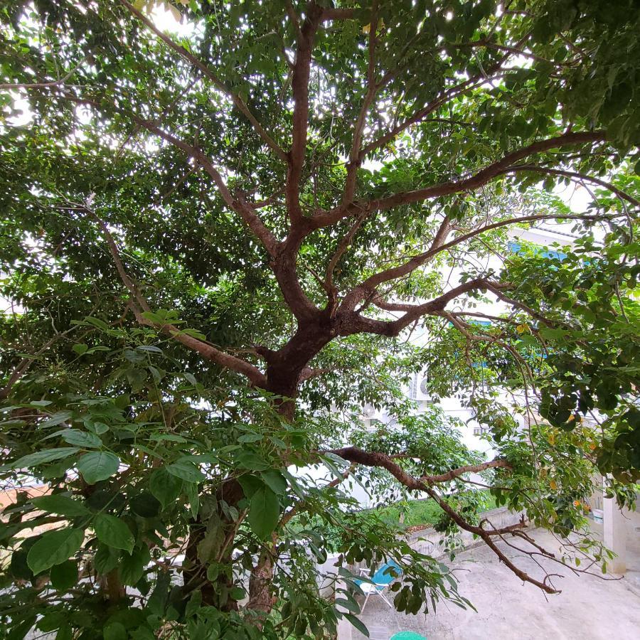 Bed and Breakfast 白砂灣藍海之丘blue Ocean Hill Hengchun Old Town Zewnętrze zdjęcie